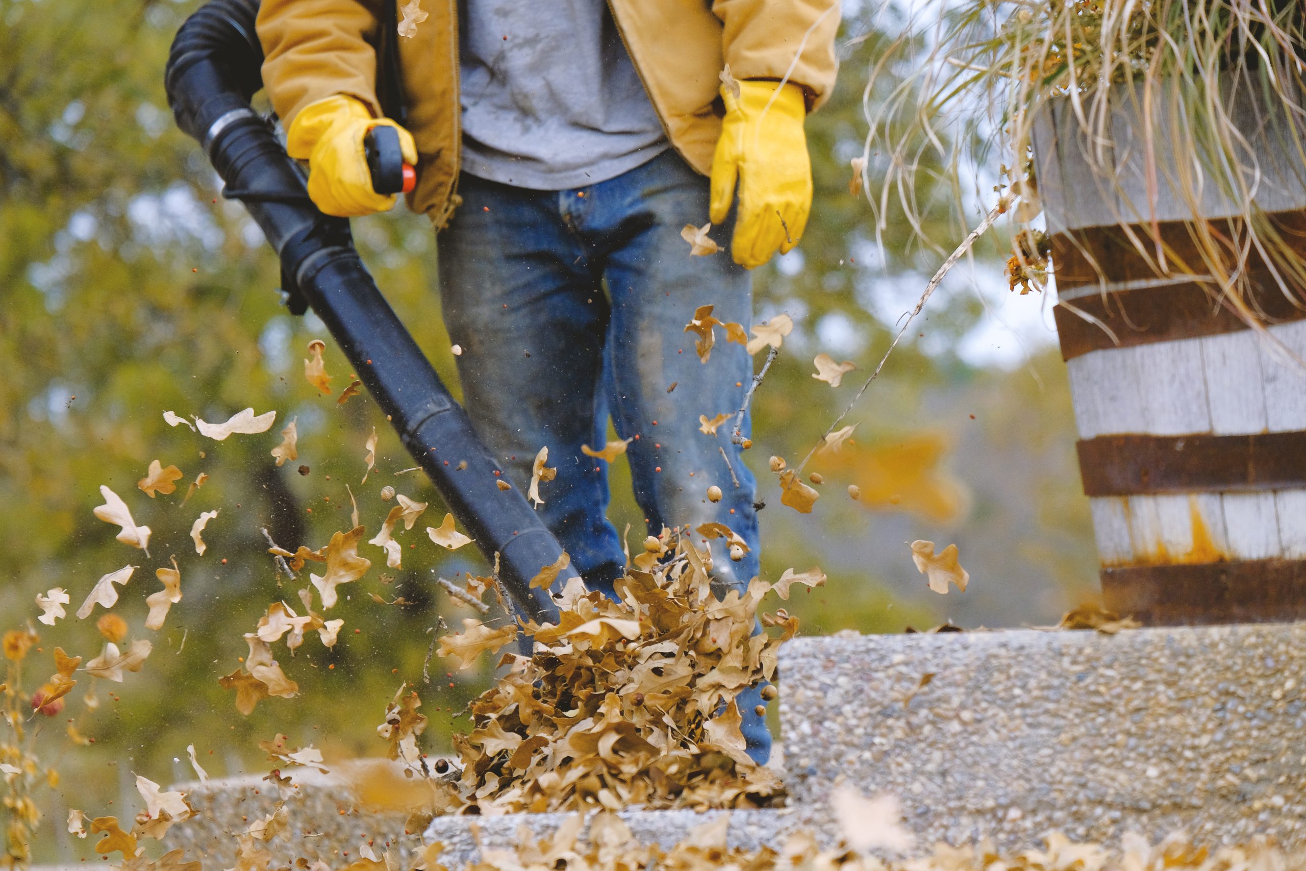 Leaves & Liability: Slips and Fall Claims with Commercial Insurance