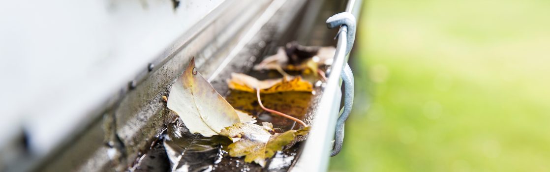 How Falling Leaves Can Affect Your Home Insurance Hertvik Insurance Group Medina OH