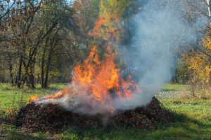 How fall leaves can be a fire hazard Hertvik Insurance Group Medina OH