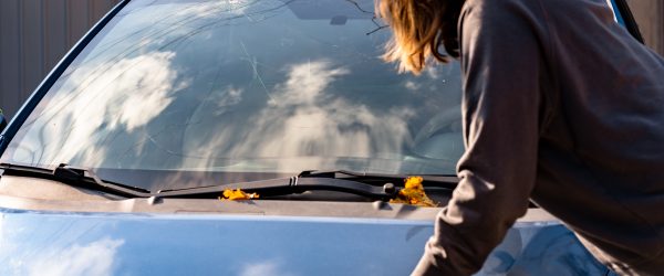 A Rock Cracked My Windshield: What to Do Next Hertvik Insurance Group Medina OH