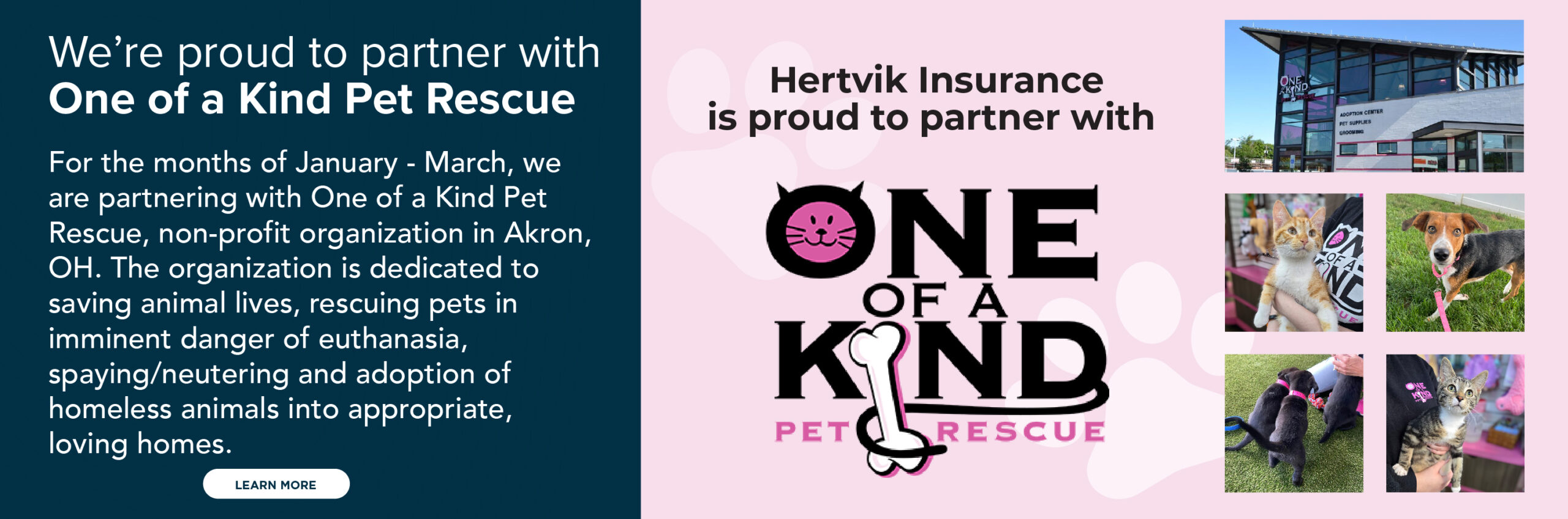 Hertvik Insurance Hertvik Cares One of a Kind Pet Rescue